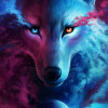   Aleks_01B