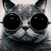 Аватар пользователя Omovem