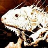 Аватар пользователя seberiuss99