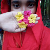   Jannat39