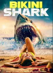 ������-����� (2025)