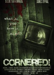 ���� ���������� (2009)