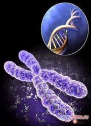 Смертельные опыты. Генетика (2014)