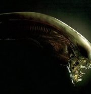 ����� ������� ������� ������� ����� � ������� ���� � ����� ������