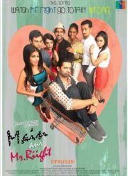 Я и мистер Правильный (2014)