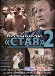 Позывной Стая 2 (2014)