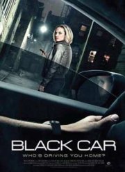 Роковая поездка (2016)