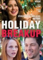 Разрыв на каникулах (2016)