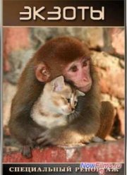 Специальный репортаж. Экзоты (2013)