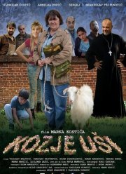 �������� ��� (2017)