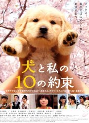 10 �������� ���� ������ (2008)