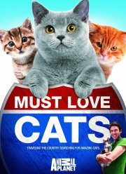 Кошек не любить нельзя (1-2 Сезон)