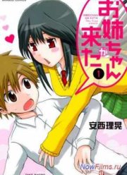 Сестра без приглашения / И приехала сестра (2014)