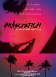 Опрометчивость (2016)