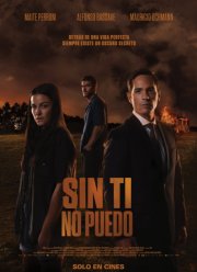 Я без тебя не могу (2022)