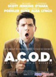 Взрослые дети развода (2014)