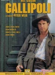 Галлиполи (1981)