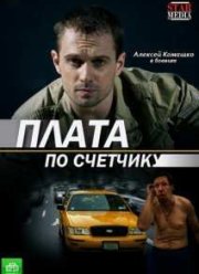 Плата по счетчику (2015)
