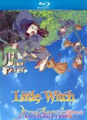 Академия ведьмочек (2013)