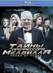 Тайны профессора Мелвилла (2010)