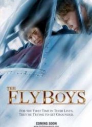 Схватка в небе  (2008)