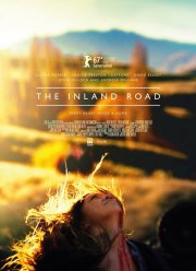 Дорога домой (2017)