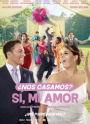 Милая, давай поженимся! (2022)