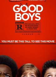 Хорошие мальчики (2019)
