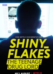 Shiny_Flakes:   (2021)