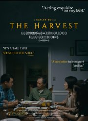 ������ (2025)