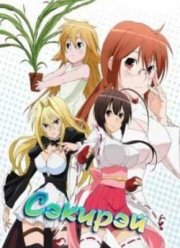 Сэкирэй (2008)