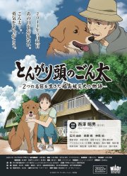 ������� ������� �����: ������� ����� ������������ � �������� ������ � ����� ������� (2022)