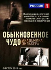 Обыкновенное Чудо Академика Зильбера (2015)