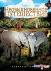 Необыкновенное путешествие: История про двух слонят (2006)