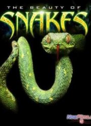 Discovery: Красота змей (2006)