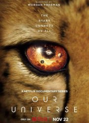 ������� ��������� (2022)