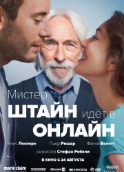 Мистер Штайн идёт в онлайн (2017)