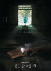 ������� ����, ����� ������ (2018)