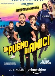 Горстка друзей (2020)