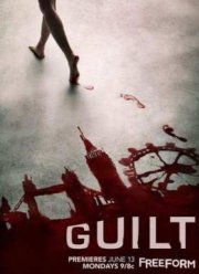 Обвиняемая (2016)