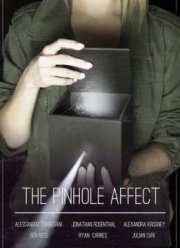 Аффект крошечного отверстия (2013)