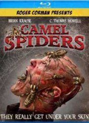 Верблюжьи пауки (2012)