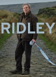 ����� (1-2 �����)