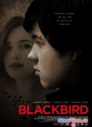 Чёрный дрозд (2012)