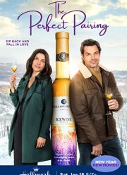 Идеальное сочетание (2022)