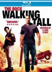 Широко шагая (2004)