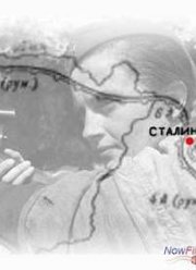 Сталинград. Большая загадка Сталина (2013)