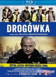 Дорожный патруль (2013)