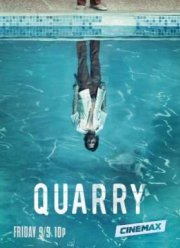 Наемник Куорри (2016)