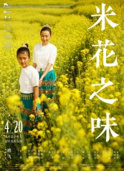 ���� �������� ������ (2017)